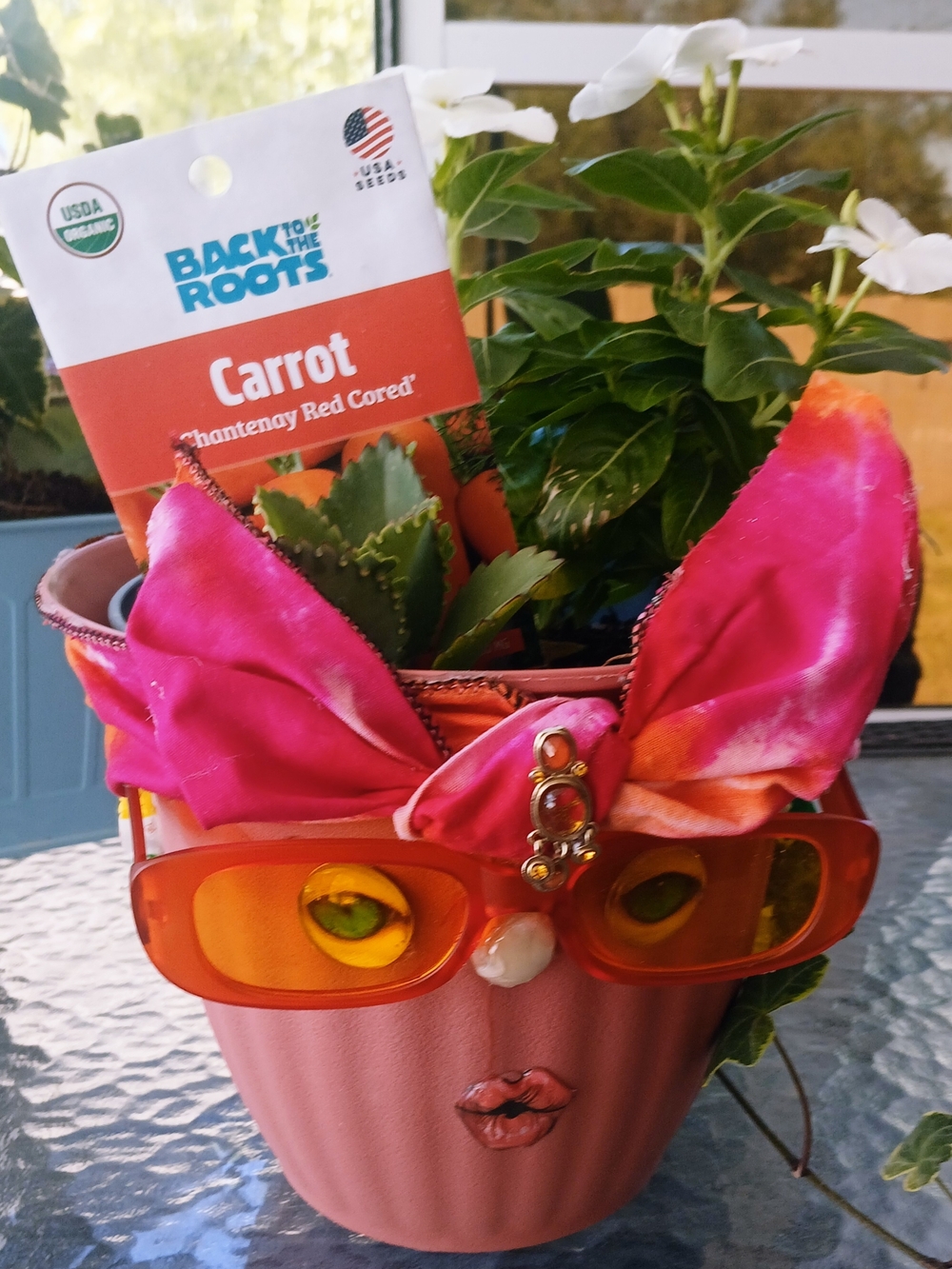 Miss Potty Head Planter Whimsical Pink Planter with Orange Sunglasses
